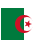 DZ Flag Icon
