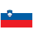 SI Flag Icon